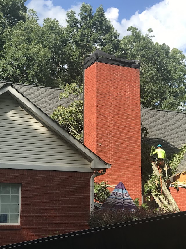 770 Arborist Emergency Tree & Crane Service photo 2
