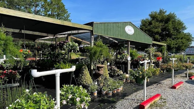 A Bloom Garden Center photo 1