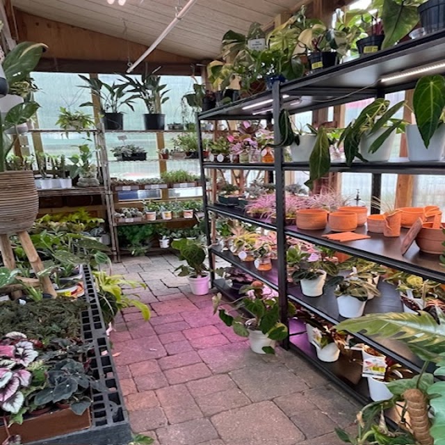 A Bloom Garden Center photo 3