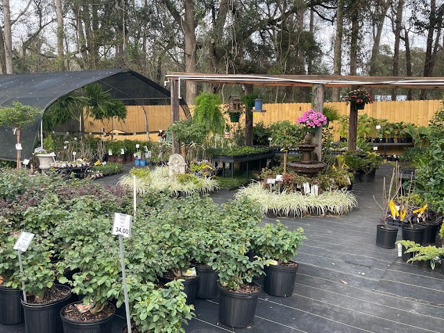 A Bloom Garden Center photo 4