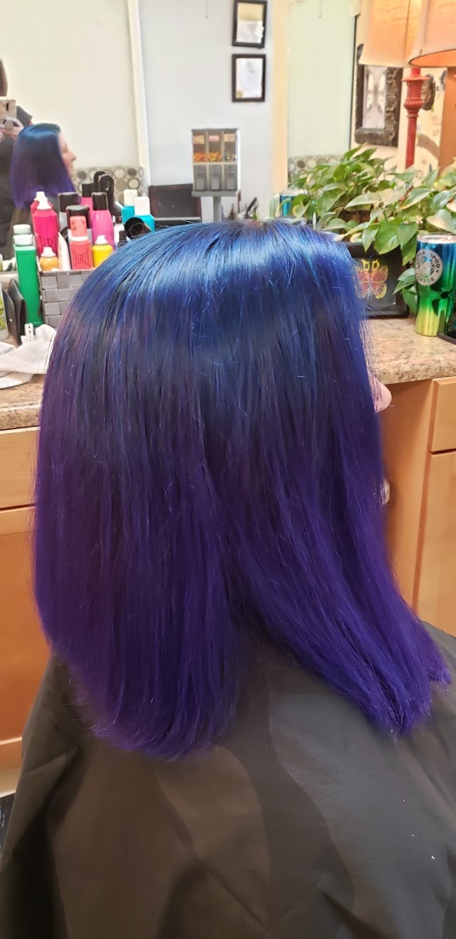 A Hair Sensation photo 3