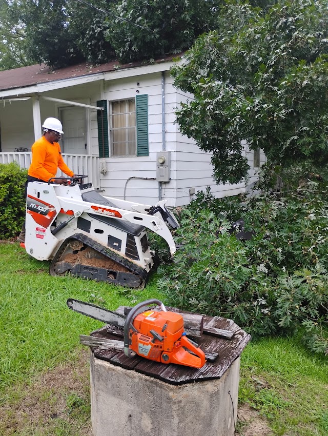 A&O Tree Service LLC photo 2