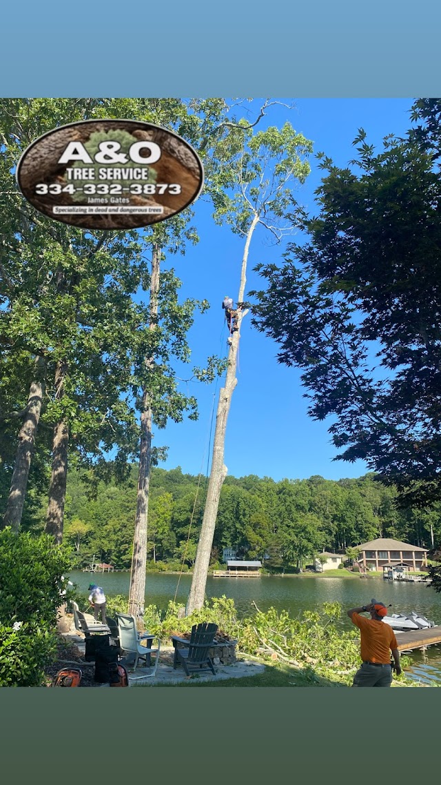 A&O Tree Service LLC photo 3