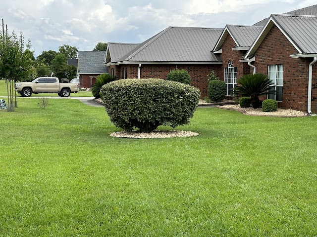 A.P. Lawn Care & Pressure Washing LLC photo 3