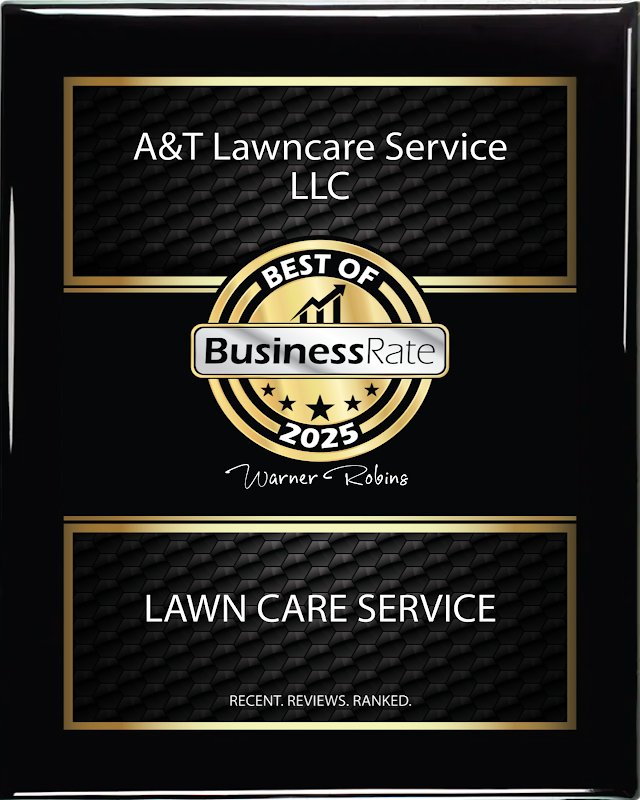 A.P. Lawn Care & Pressure Washing LLC photo 4