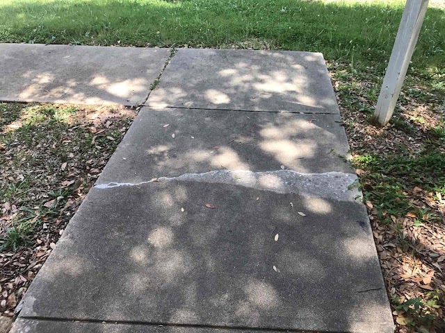 A & P Pressure Washing & Window Cleaning photo 3