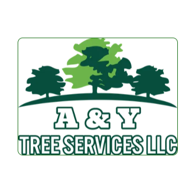 A & Y Tree Service photo 2