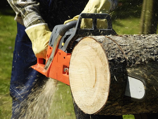 A1 Climbers Affordable Tree Service