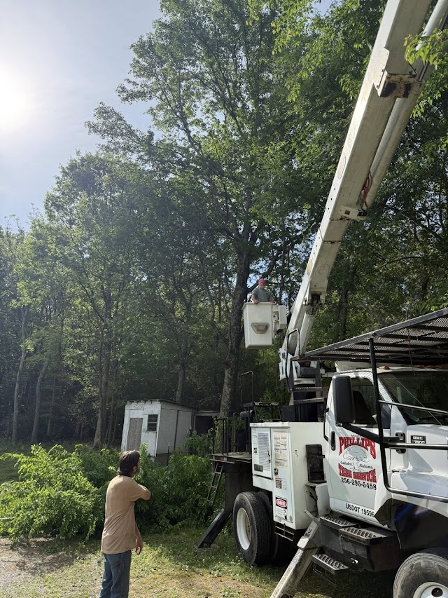 AAA Alabama Tree Service