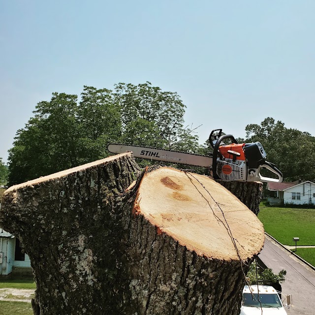 AAA Alabama Tree Service photo 2