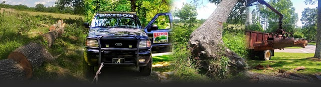 AAA Alabama Tree Service photo 3