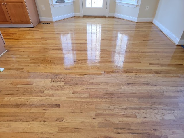 Above & Beyond Carpet Care photo 4