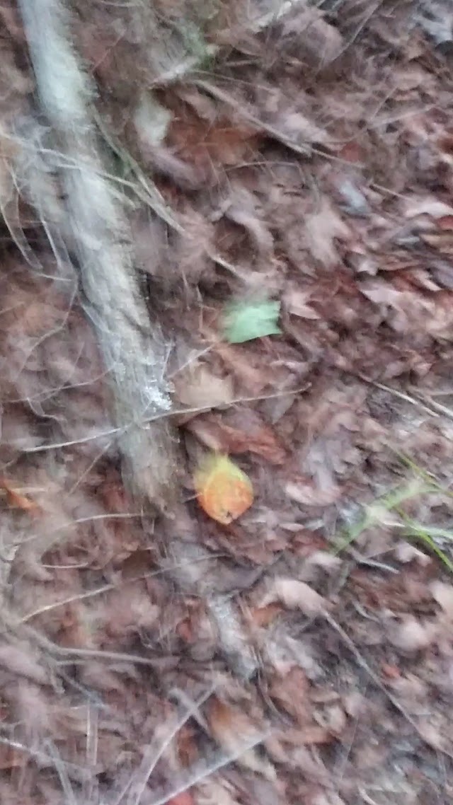 Absolute Landscape photo 3