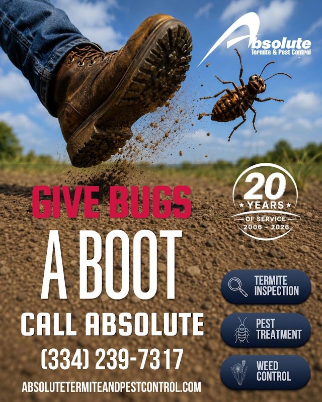 Absolute Termite & Pest Control LLC