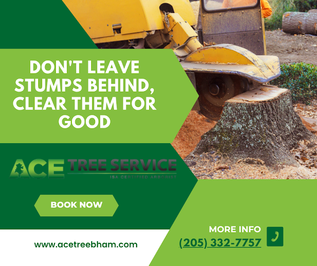 ACE Tree Service photo 3