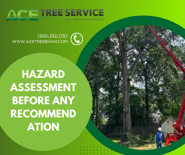ACE Tree Service