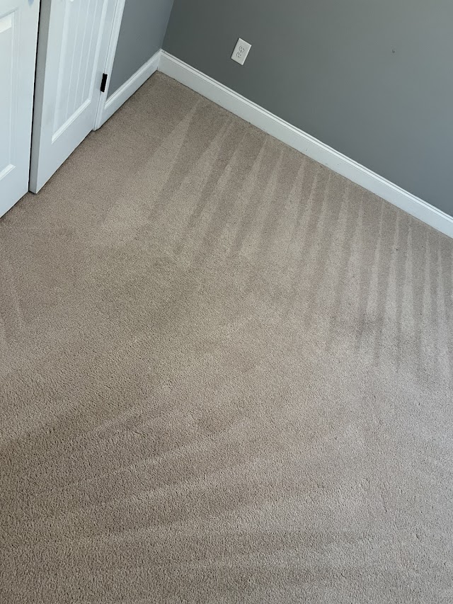 Action Carpet Cleaning photo 3