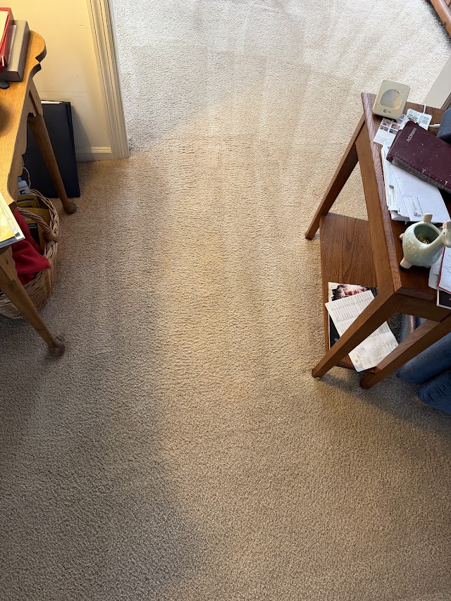 Action Carpet Cleaning photo 4