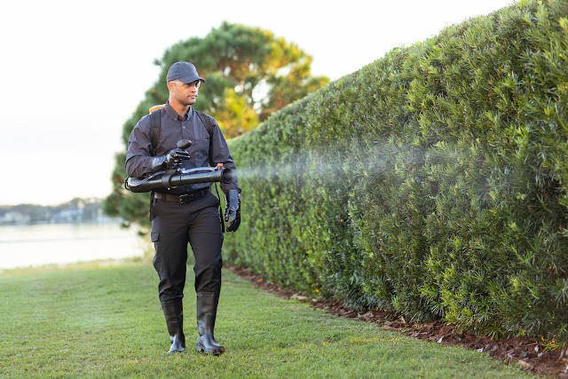 Active Pest Control photo 2