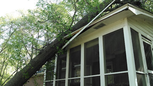 Advantage Tree Service photo 2