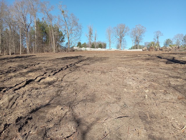 Advantage Tree Service photo 4