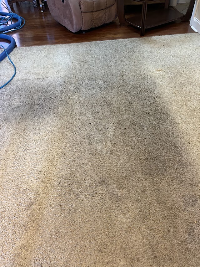 Affordable carpet cleaning LLC photo 4