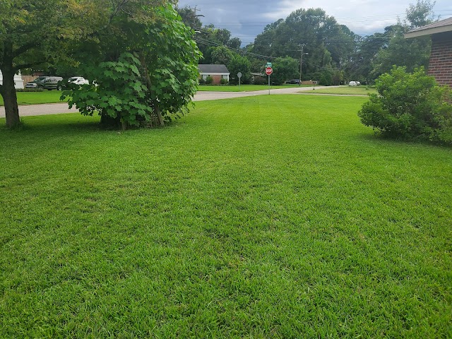 AFFORDABLE LAWN SERVICE, LLC photo 4