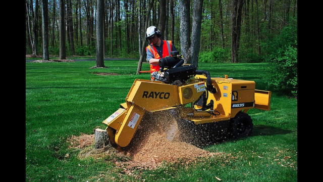 Affordable Montgomery Tree Service photo 2