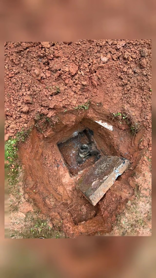 Affordable Septic Service LLC photo 3
