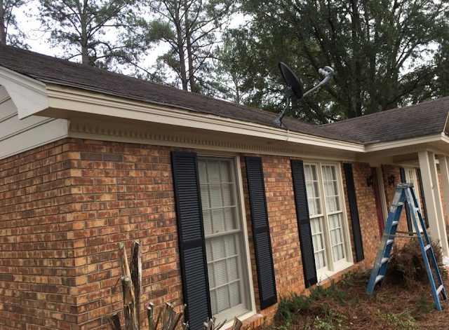 Affordable Trees & Construction, LLC photo 3