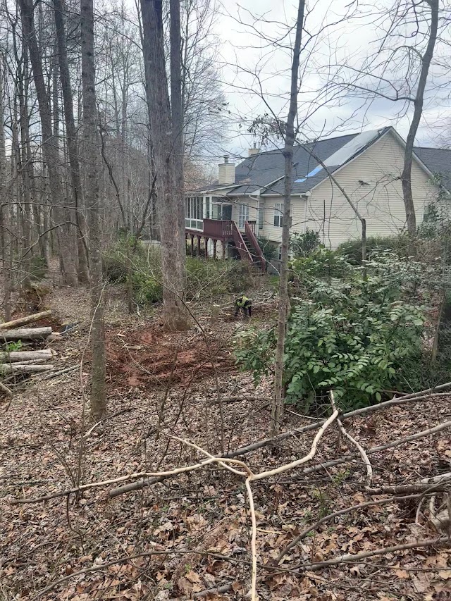 AKA Tree Service photo 3