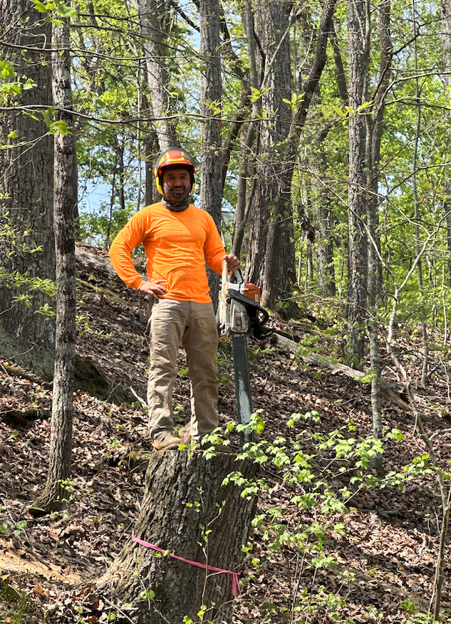 Al's Tree Service photo 2