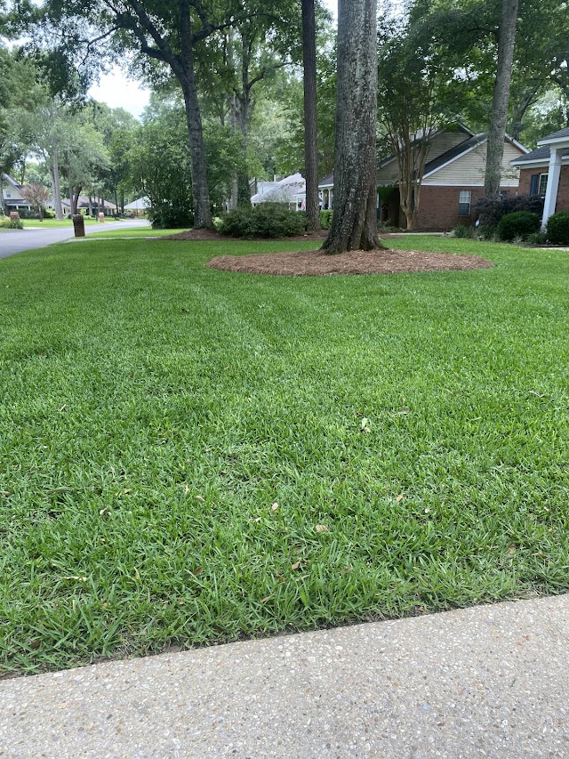 Alabama Lawn Care Pros photo 2