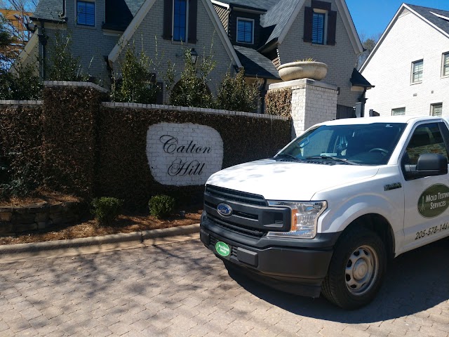 Alabama Mold And Water, LLC photo 4