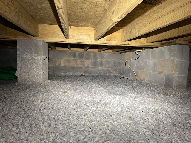 Alabama Mold Pros