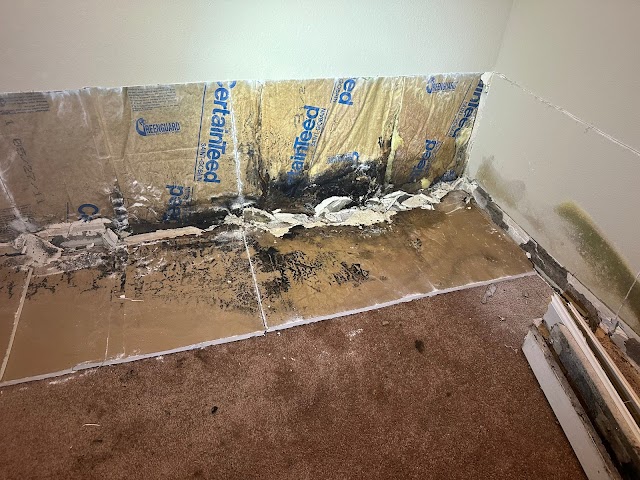 Alabama Mold Pros photo 3