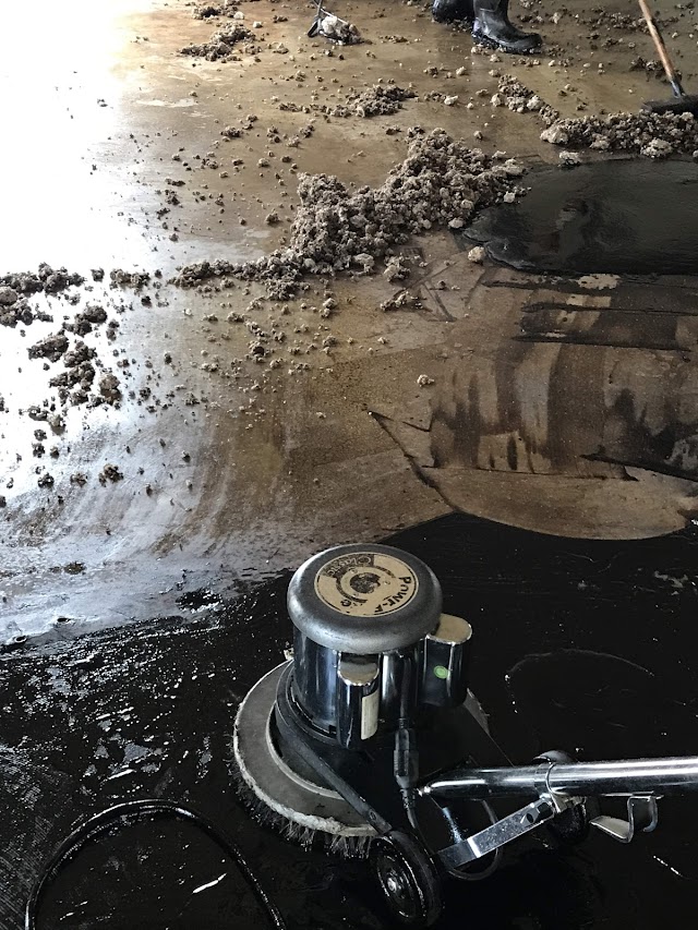 Alabama Restoration and Remediation