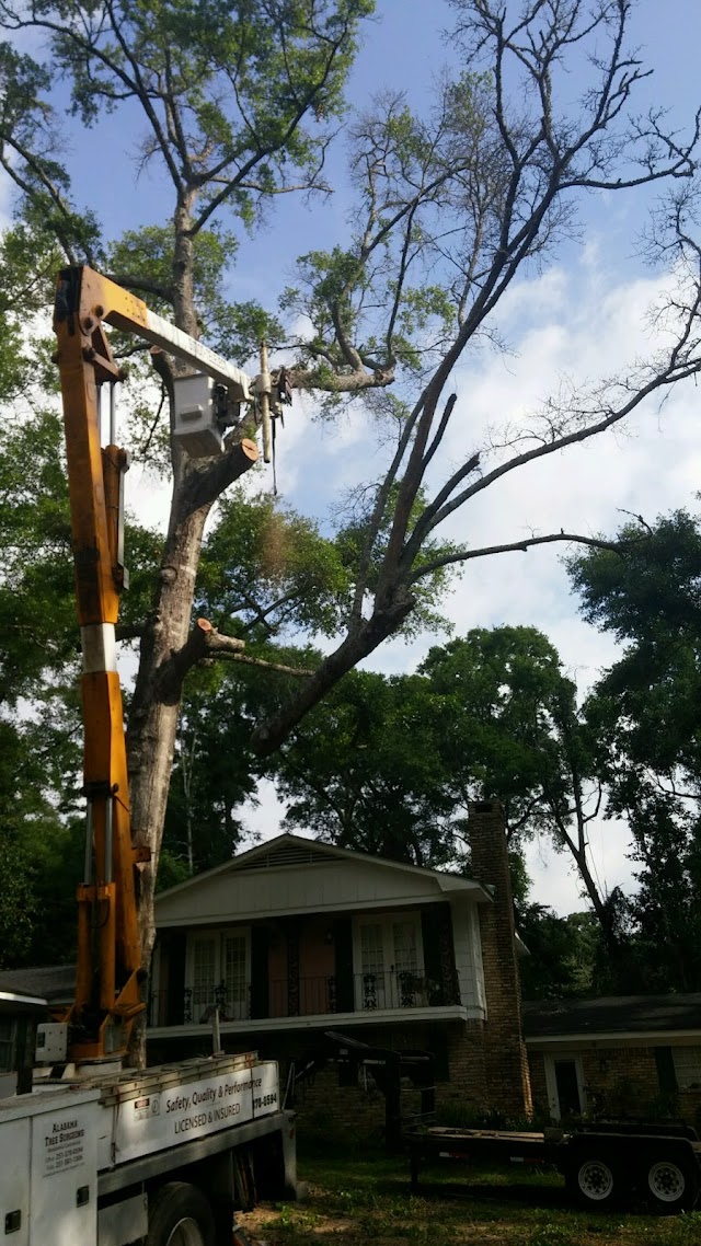 Alabama Tree Surgeons photo 3