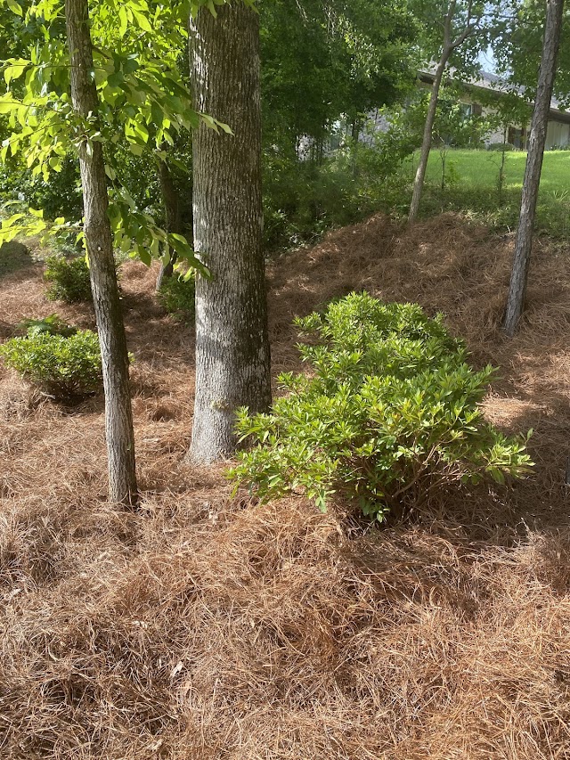 AlaTex Landscaping & Irrigation