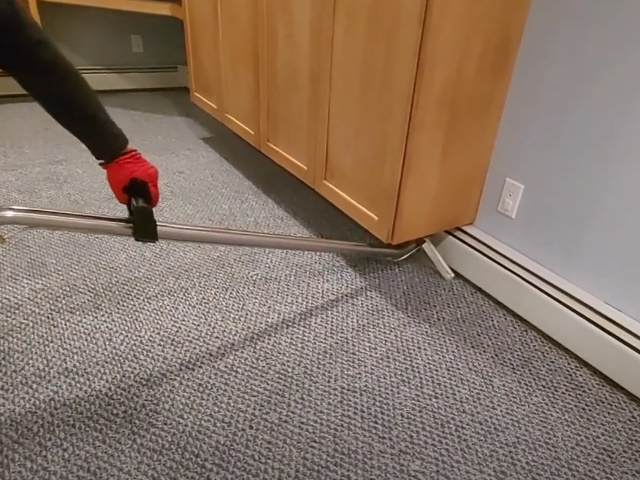 Albany Carpet Cleaning Experts
