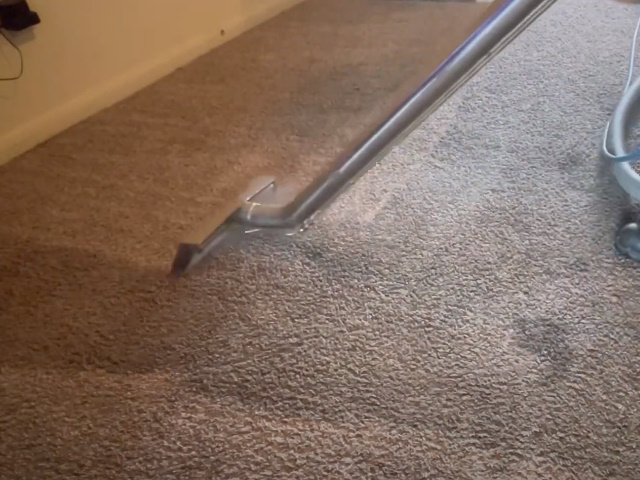 Albany Carpet Cleaning Experts photo 2