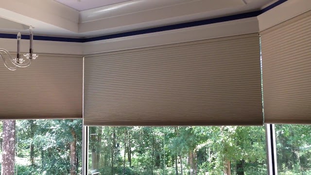 All About The Windows photo 3