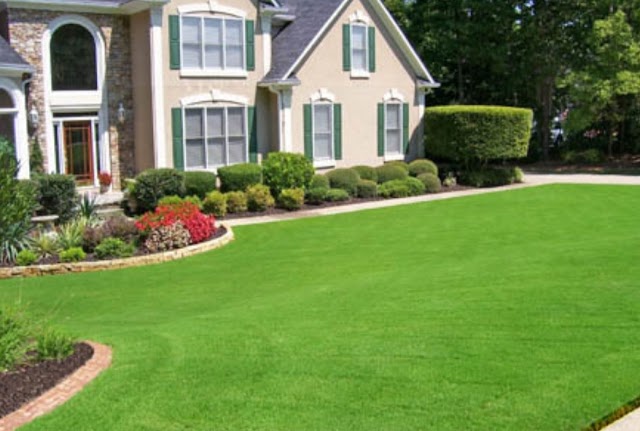 All Meadows Lawn Care