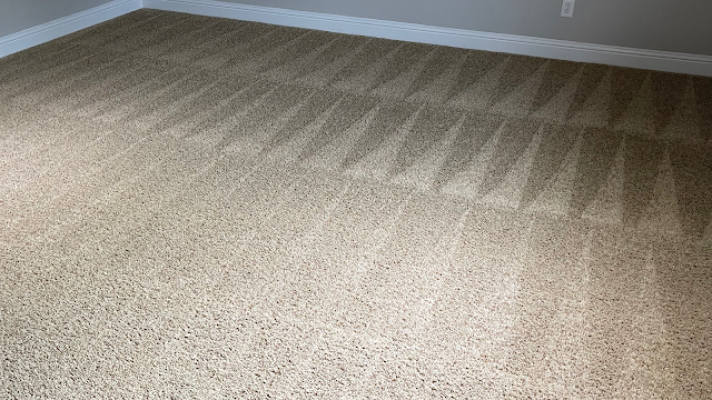 All Out Carpet Cleaning
