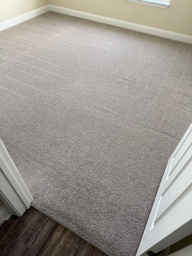 All Out Carpet Cleaning photo 3