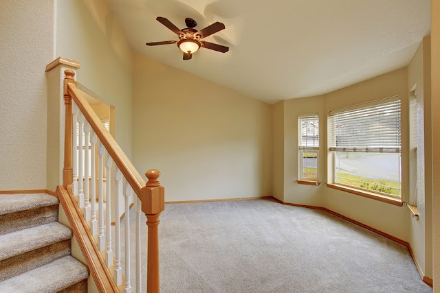 All Out Carpet Cleaning photo 4