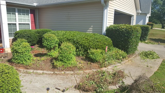 ALL-PRO Lawn photo 2