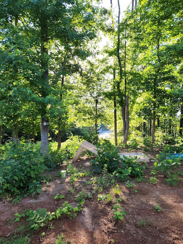 All Seasons Grading & Land Clearing photo 2