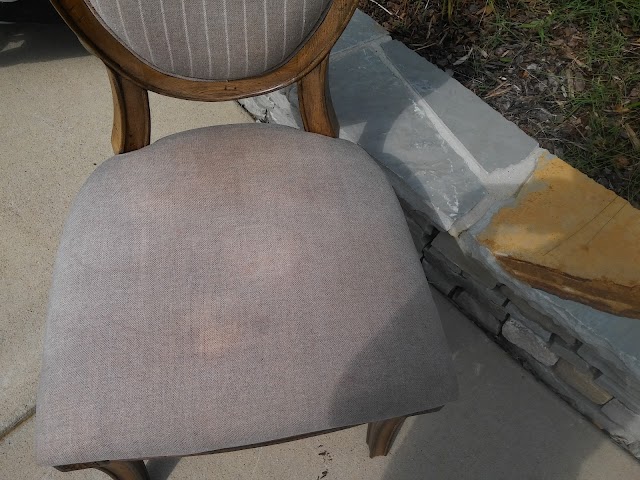 Allen's Carpet Cleaning photo 3