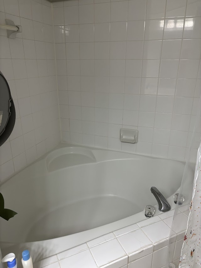 Amazon Cleaning